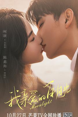 丽江市seo优化多少钱